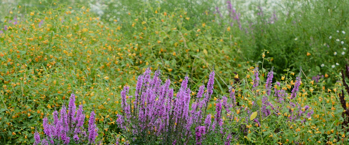 Contact Dermatology & Skincare Arts